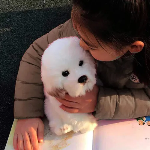 Miniatura 4 de Perro maltés de peluche realista de 14 pulgadas, juguetes de peluche para cachorros, almohada de felpa suave para cumpleaños para niños y adultos