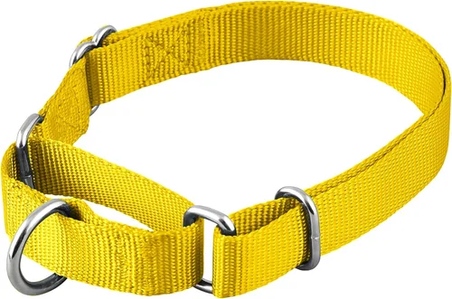 Miniatura 20 de Native Pup Collar básico de nailon para perro, ajustable para mascotas y cachorros pequeños, medianos y grandes, bonitos colores para hombres