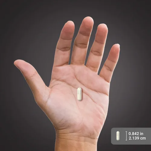 Miniatura 7 de Piping Rock L Glutamine - Cápsulas en polvo 2000 mg 240 píldoras Suplemento para mujeres y hombres Aminoácido en forma libre Sin OMG, sin
