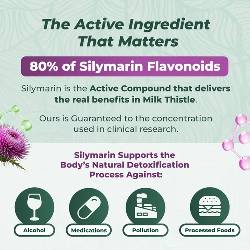 Miniatura 4 de PurePremium Suplemento de cardo mariano con extracto de silimarina – Suplemento complejo de salud de apoyo hepático de 450 mg – Mantiene la función