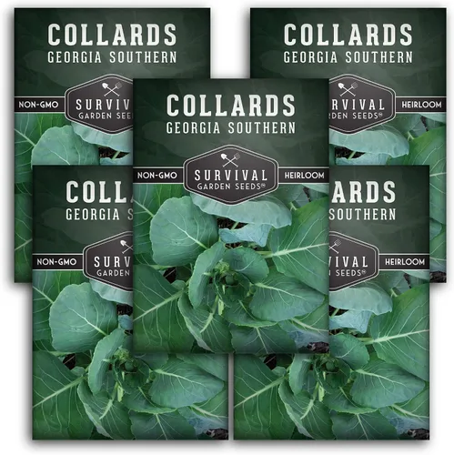 Miniatura 12 de Semillas verdes de col para plantar Variedad de Georgia Southern Heirloom sin OMG Verdes de hoja verde para huertos domésticos – Semillas