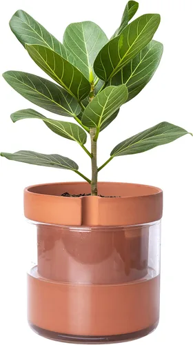Miniatura 25 de Maceta Phoenix Vine de 6 Pulgadas con Riego Automático, Maceta de Arcilla Terracota con Reservario de Vidrio para Plantas de Interior, Hierbas