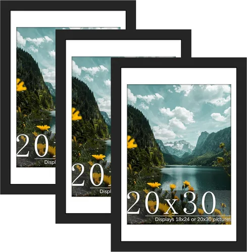 Miniatura 11 de Picrit Paquete de 3 portarretratos de 20 x 20 pulgadas, póster de 16 x 16 pulgadas con paspartú o de 20 x 20 pulgadas sin paspartú para montaje
