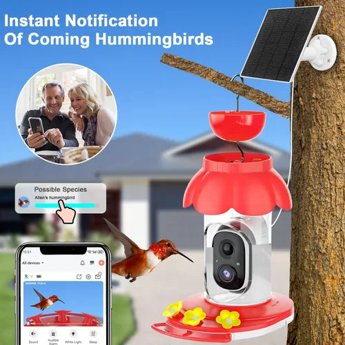 Miniatura 2 de Comedero de colibríes con cámara, cámara inteligente alimentadora de colibríes alimentada por energía solar con identificación IA, captura