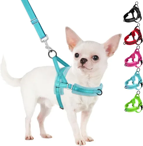 Miniatura 15 de SlowTon - Juego de arnés y correa para perros pequeños sin tirones, chaleco suave ajustable para cachorros para el cuello y el pecho, arnés