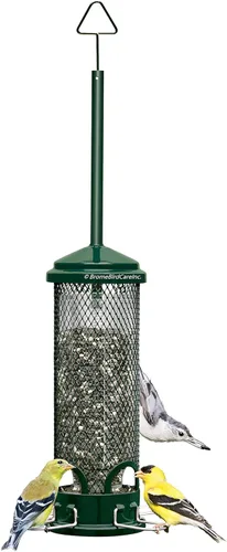 Miniatura 10 de Squirrel Buster Legacy - Comedero para pájaros a prueba de ardillas con 4 perchas de metal, capacidad de semillas de 2.6 libras y Wagner's 62012