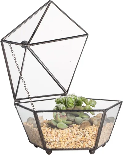 NCYP Terrario geométrico de vidrio pequeño, contenedor cerrado en caja de joyas, maceta para suculentas, decoración de jardín para interiores y