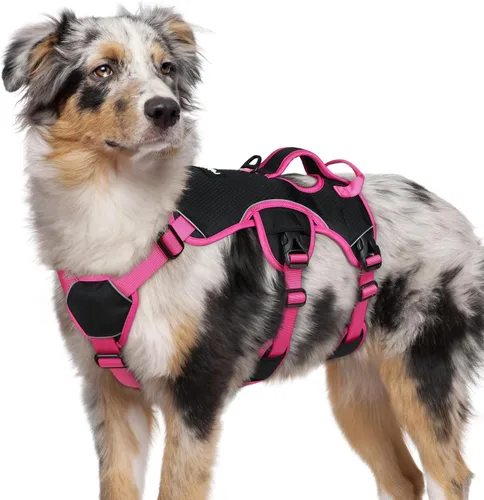 Miniatura 46 de rabbitgoo - Arnés para perro a prueba de fugas, arnés para mascotas acolchado suave de cuerpo completo, chaleco reflectante ajustable sin tirones