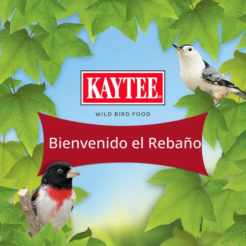 Miniatura 18 de Kaytee Alimento en forma de pastel de semillas para aves silvestres y gusanos de harina para azulejos, carboneros, pájaros carpinteros y más, 1.4