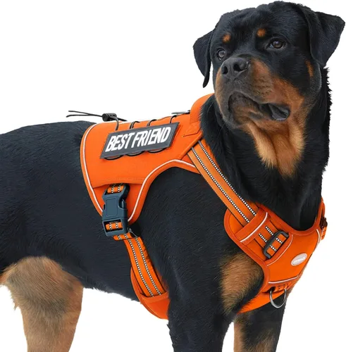 Miniatura 10 de Auroth - Arnés táctico para perros pequeños y medianos, sin tirones, arnés ajustable para mascotas, reflectante, K9, entrenamiento, trabajo, de Gris