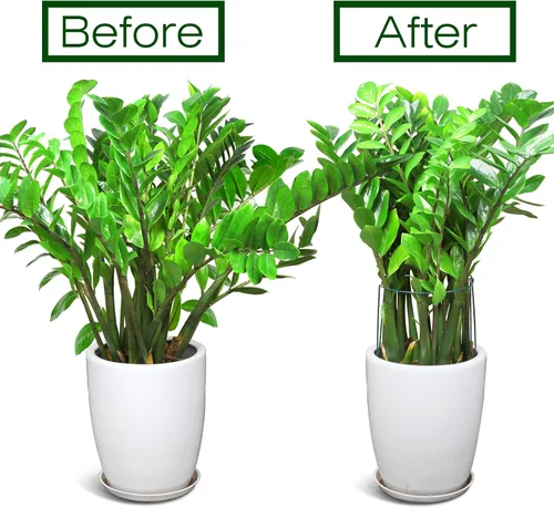 Miniatura 6 de LEOBRO Estacas de soporte para plantas, 4 estacas para plantas, soporte para plantas, jaulas y soportes de peonía, estacas de jardín, estacas