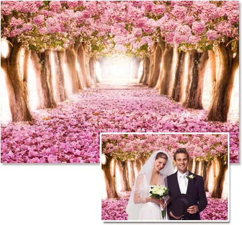 AOFOTO Fondo de vinilo de flores de cerezo de primavera de 7 x 5 pies, diseño de flores rosadas, árbol de pétalos florales, boulevard, fotografía de