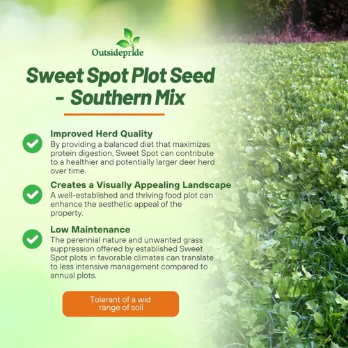 Miniatura 2 de Outsidepride Southern Sweet Spot Seed - Semillas anuales, versátiles, de rápido crecimiento y tolerantes a la sequía, semillas de parcela