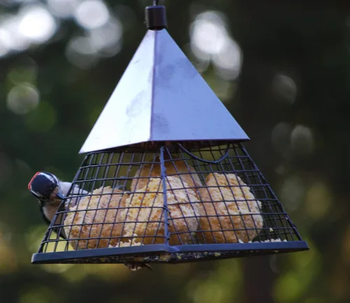 Miniatura 4 de Wildlife Sciences Paquete de 24 bolas de sebo para pájaros, 6 paquetes envueltos individualmente de 4 bolas de sebo para pájaros