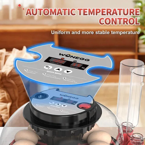 Miniatura 2 de Incubadora Digital de 12 Huevos con Volteador Automático de Huevos, Control de Humedad y Ovoscopio LED para Incubar Pollos, Patos, Codornices y Más