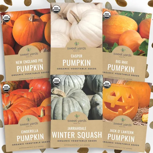 Paquete variado de semillas de calabaza orgánicas, 6 paquetes individuales, temporada 2026, Jack O' Lantern, Cenicienta, Big Max y mucho más para