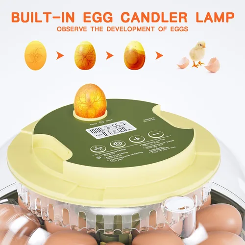 Miniatura 4 de Incubadora de 18 huevos, incubadora para incubar huevos, giro automático de huevos y control de temperatura de humedad, vela de huevos, día