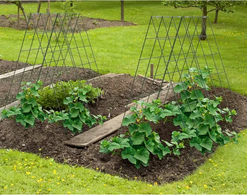 Miniatura 7 de AGTEK Paquete de 2 enrejados plegables de pepino de 18 x 46 pulgadas con bridas de cremallera, soporte para plantas, un marco de enrejado de metal