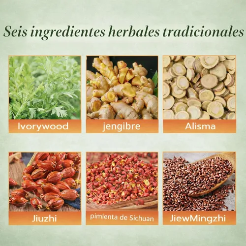 Miniatura 8 de Parche de equilibrio de hierbas japonesas, ingredientes a base de plantas, diseño adhesivo cómodo, fácil uso tópico, 2 cajas, 10 parches (2)