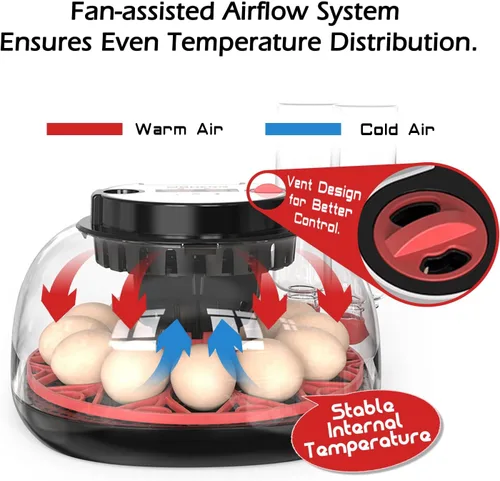 Miniatura 2 de Incubadoras inteligentes de pollo para incubar huevos con volteador automático, aves, pato, codorniz, 12 huevos, incubadora de control de M12 Pro