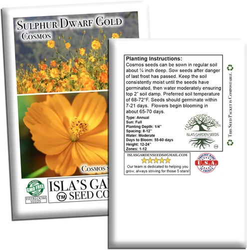 Miniatura 7 de Semillas de flores de cosmos de oro enano azufre para plantar, más de 100 semillas de flores por paquete, semillas de jardín de Isla