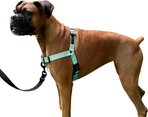 Miniatura 10 de ShawnCo Dream Walk Arnés para Perros Sin Tirones - Ajustable, Cómodo, Fácil de Usar, Cabestro para Mascotas para Ayudar a Detener los Tirones