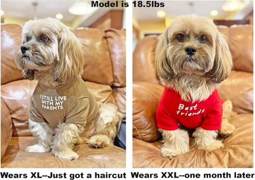 Linda ropa para perros, camiseta para perros medianos y pequeños, hembra y macho, cachorro. Disfraz suave y transpirable para mascotas, perros,