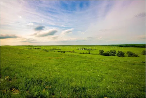 Great Plains Photography Print (Not Framed) Picture of Tallgrass Prairie on Spring Day in the Kansas Flint Hills Prairie Wall Art Nature Decor (4" x