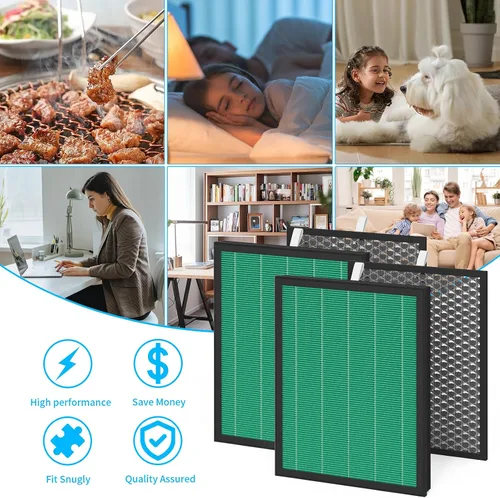 Miniatura 5 de BioGS 2.0 Kit de filtro compatible con purificador BioGS 2.0, para modelos SPA-550A y SPA-625A (2 juegos)