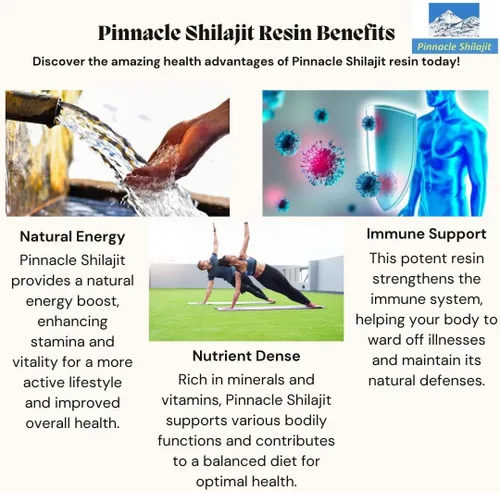 Miniatura 3 de Pinnacle - Resina Shilajit de grado dorado de alta calidad, 100% Shilajit del Himalaya de Gilgit Baltistan, potente energía natural, enfoque y apoyo
