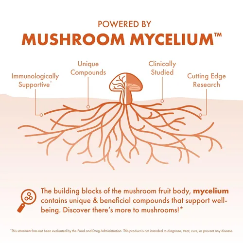 Miniatura 4 de Host Defense Cordyceps Powder - Suplemento de apoyo inmunológico y energético - Suplemento de salud renal con hongos Cordyceps - Suplemento de apoyo