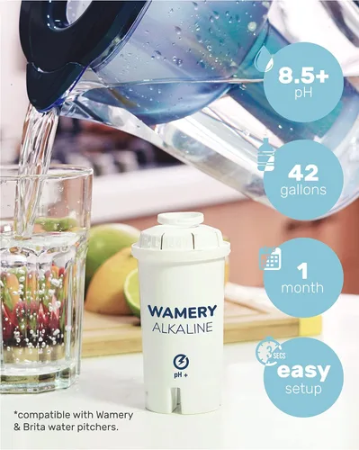 Miniatura 3 de Wamery Filtro de agua alcalino de repuesto para jarras Brita, paquete de 3, mejora el pH y el sabor, 42 galones cada uno, carbón activado de coco