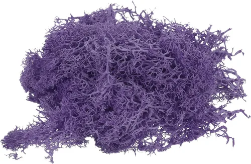 Miniatura 12 de MECCANIXITY Musgo artificial de musgo de 3.5 onzas, musgo artificial preservado natural para manualidades, manualidades, proyectos florales, Negro