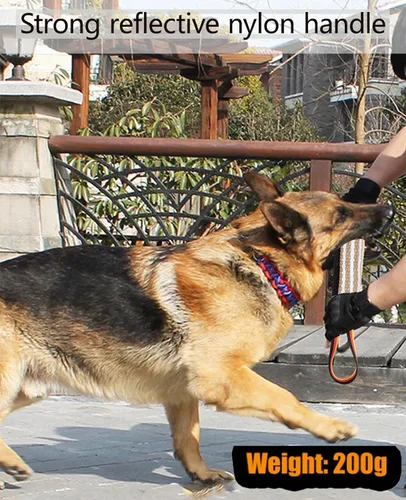 Miniatura 6 de Clysoru Juguete de yute resistente para perros