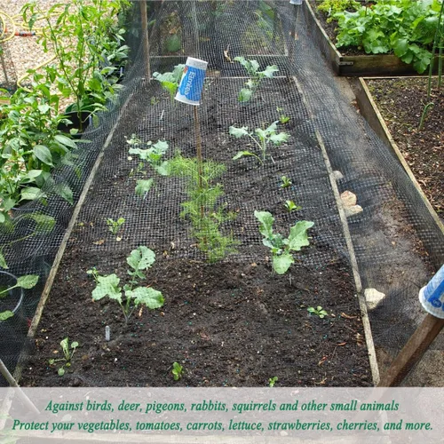 Miniatura 3 de Red de jardín de malla de 3/4 pulgadas para protección de plantas, malla de ciervos contra pájaros, ardillas, conejos, mapaches y más, protege