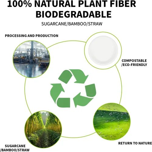 Miniatura 6 de Platos de papel compostables de 9 pulgadas, 100% biodegradables, resistentes y ecológicos, platos desechables para camping, fiestas, bodas, barbacoa