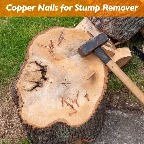 Miniatura 5 de Clavos de cobre – 110 uñas de techo de 1 pulgada – 99.95% clavos de cobre puro para techo, cobre intermitente, árbol, removedor de tocones, raíces
