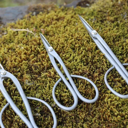 Miniatura 3 de KAKURI Satsuki - Tijeras de bonsái fabricadas en Japón de 7 pulgadas, hoja japonesa de acero inoxidable, tijeras de bonsái de precisión para poda