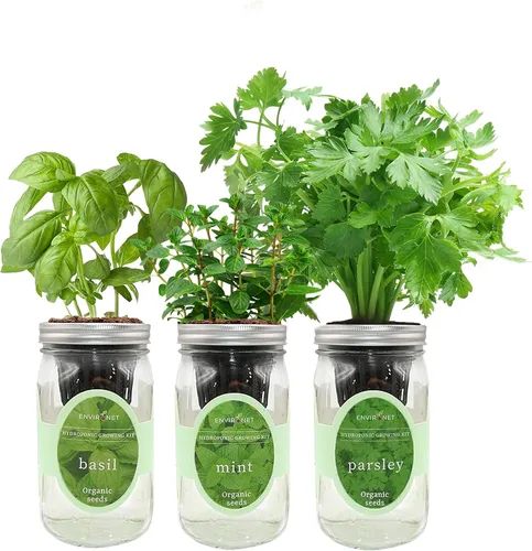 Kit de cultivo de hierbas hidropónicas, kit de inicio de jardín de hierbas con riego automático en tarro de masón para interiores, jardín de hierbas