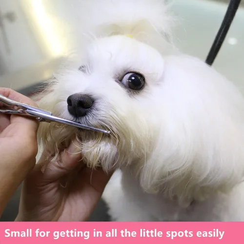 Miniatura 5 de HASHIMOTO Tijeras de aseo para perros pequeños con puntas redondeadas, 5.0 pulgadas, hoja recta con microdentada, diseñadas para recortar alrededor