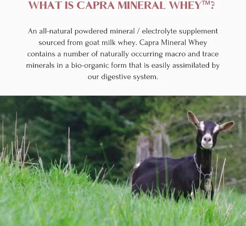 Miniatura 4 de Mt. Capra Mineral Whey Un suplemento de polvo mineral/electrolito biodisponible de suero de leche de cabra, rico en potasio, alcalinizante, 14