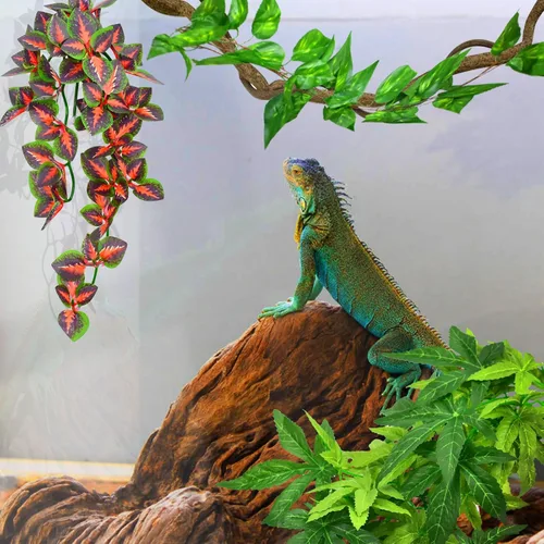 Miniatura 4 de KATUMO Plantas de reptiles, 3 plantas colgantes de anfibios con ventosa para serpientes, dragones barbudos, lagartos, geckos, sapos, tanque