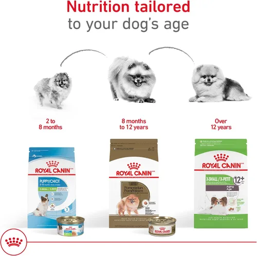 Miniatura 4 de Royal Canin Breed Health Nutrition Pomeranian - Alimento seco para perros adultos, bolsa de 10 libras