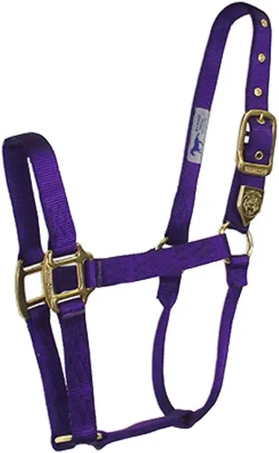 Miniatura 18 de Hamilton Caballo de nailon de 1 pulgada, tamaño pequeño (500-800 libras), azul baya