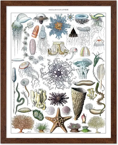Miniatura 12 de Poster Master Póster vintage de miel, impresión retro de La Vie De L'Abeille, arte de panal de abeja, arte de pared de abeja, regalo para hombres