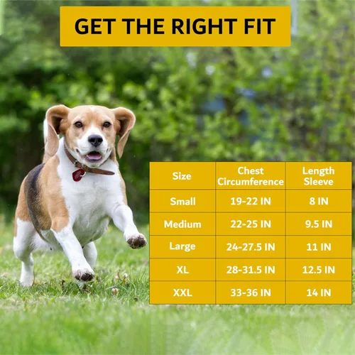 Miniatura 2 de AGON Codera para perro para soporte de codo - Estabilizador de bisagra ajustable protector de codo para perro - Soporte de codo de neopreno