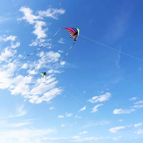 Miniatura 6 de Mint's Colorful Life - Cometa Delta para niños y adultos, cometa extremadamente fácil de volar, las mejores cometas para principiantes