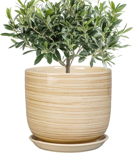Miniatura 31 de Maceta de Cerámica para Plantas de Interior de 5 Pulgadas - Maceta Redonda para Plantas Suculentas con Agujero de Drenaje y Platillo, Decoración