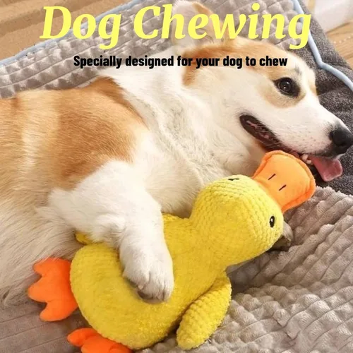 Miniatura 5 de Juguete de pato para perro, juguete para perros de pato charlatán, juguete de patito amarillo que calma a los perros, de larga duración atrae