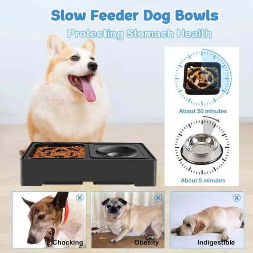 Miniatura 4 de 2 en 1 tazones elevados con alimentación lenta para perros, 4 tazones elevados ajustables en altura con soporte para perros con cuenco de agua a